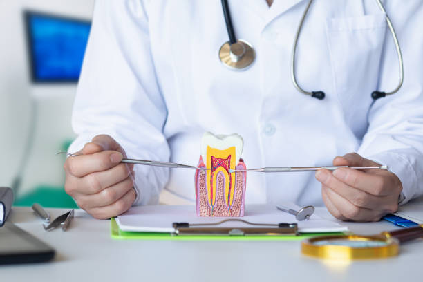 Best Emergency Root Canal Treatment in Evansville, WY